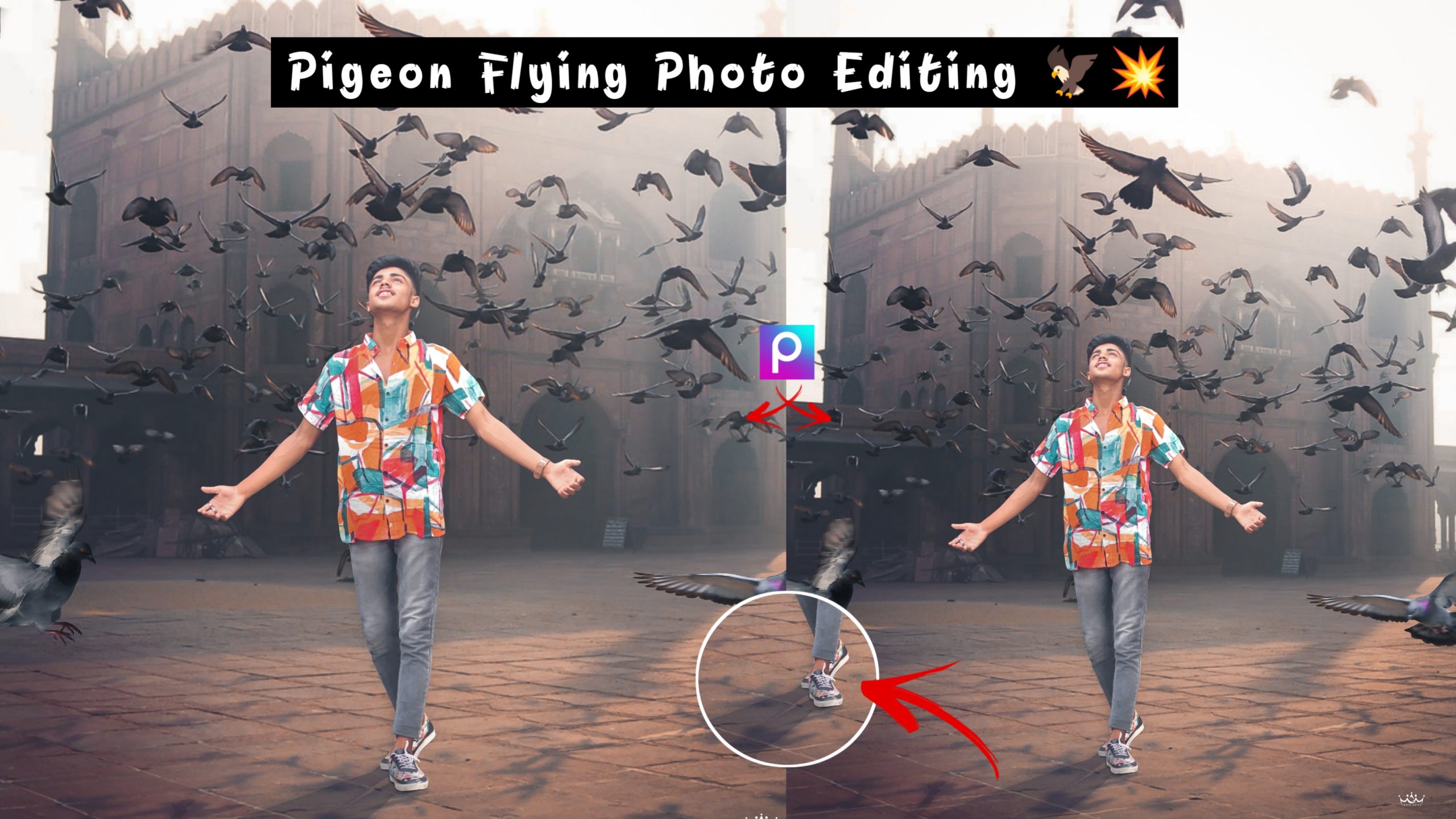 Pigeon Flying Photo Editing in PicsArt Download Background And PNG